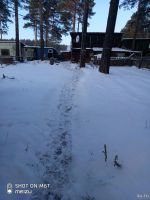 Лот: 17144944. Фото: 7. Дом Красноярский край Сухобузимский...