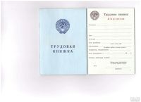 Лот: 12038602. Фото: 2. Трудовые книжки AT-V и AT-VI. Бизнес, экономика