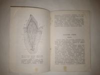 Лот: 21090434. Фото: 4. Дойников. Уход за зубами у детей... Красноярск