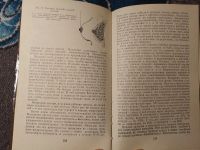 Лот: 25507575. Фото: 4. Логинов Женщина и мужчина Отношения... Красноярск
