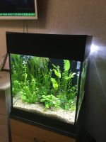 Лот: 12131172. Фото: 3. Крышка для аквариума. Растения и животные