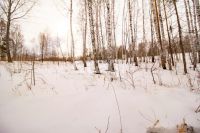 Лот: 25294808. Фото: 15. участок , ДНТ Чёрная Сопка ДНТ...