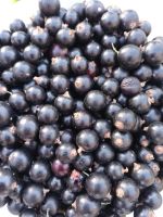 Лот: 20665929. Фото: 2. Смородина. Ягода. Урожай 2025... Продукты