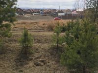 Лот: 13642930. Фото: 3. Продам участок ДНТ Есаульский... Недвижимость