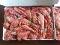 Лот: 11219337. Фото: 2. Продам креветку северную. Продукты