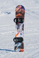 Лот: 20623213. Фото: 5. Сноуборд SHORNER LEGEND 20/21