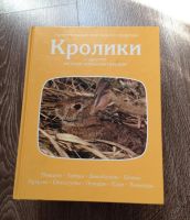 Лот: 5704276. Фото: 4. 4 энциклопедии "Удивительный мир... Красноярск