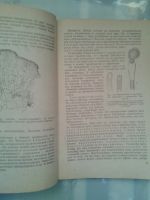 Лот: 16065327. Фото: 3. Лекции по анатомии растений. Крашенинников... Литература, книги