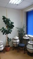 Лот: 3477970. Фото: 16. Тандыр Амфора ( Бесплатная доставка...