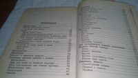 Лот: 10713641. Фото: 5. оз (22..03) Одежда из кожи, Александра...