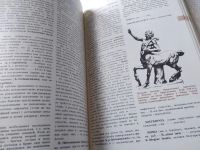 Лот: 14343795. Фото: 6. Бартошек Милан, Римское право...