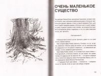 Лот: 10898085. Фото: 6. Бенджамин Хофф - Дао Винни-Пуха...