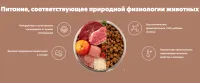 Лот: 19285661. Фото: 2. АльфаПет (AlphaPet) WOW сухой... Животные и уход