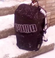 Лот: 21986633. Фото: 5. Рюкзаки 37х28х20 см около 15 л...