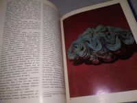 Лот: 18959193. Фото: 7. Oz (4092325) О чем поют ракушки...
