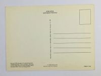 Лот: 23296506. Фото: 3. Латвийская ССР. Сосна на берегу... Коллекционирование, моделизм