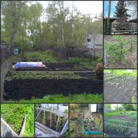 Лот: 4364224. Фото: 6. Продам дом-дачу. Ветлужанка. Возможность...