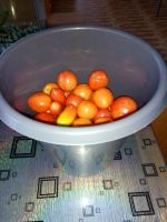 Лот: 16436576. Фото: 2. Помидоры домашние 3 кг. Продукты