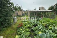 Лот: 25286802. Фото: 15. 2-комн. дача , садоводческое товарищество...