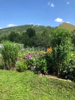 Лот: 25678816. Фото: 17. 2-комн. дача , территория СНТ...