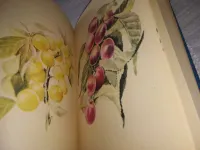 Лот: 20823815. Фото: 6. Книга садовода любителя. (Красноярский...