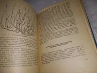 Лот: 20823815. Фото: 10. Книга садовода любителя. (Красноярский...