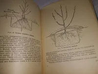 Лот: 20823815. Фото: 11. Книга садовода любителя. (Красноярский...