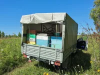 Лот: 20632306. Фото: 18. Свежий ранний таёжный мёд 2023...