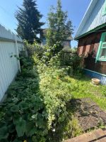 Лот: 25626426. Фото: 7. 1-комн. дача , садоводческое некоммерческое...