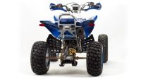 Лот: 25774838. Фото: 6. Квадроцикл MOTOLAND 250 Dakar