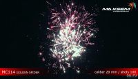 Лот: 8747572. Фото: 4. Фейерверк Золотой паук 100 залпов. Красноярск