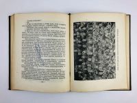 Лот: 23277267. Фото: 9. Щорс. Герасимов Е., Эрлих М. 1937...