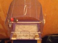 Лот: 5053465. Фото: 2. Волнистый попугай + клетка (корм... Животные и уход