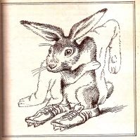 Лот: 15403616. Фото: 8. Старикович Станислав - Зверинец...