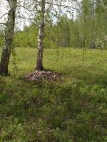 Лот: 11447413. Фото: 3. Участок 19 соток Сухая Балка. Недвижимость