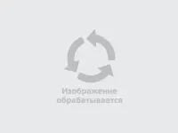Лот: 6683401. Фото: 2. oz(3092344) Последний раунд. Нокаут... Хобби, туризм, спорт
