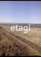 Лот: 25296291. Фото: 4. участок , СПК Солонцы СПК Солонцы... Красноярск