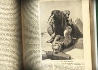 Лот: 12984334. Фото: 6. подшивка дореволюционного журнала...