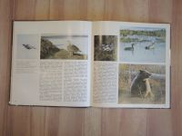 Лот: 22171205. Фото: 4. книга альбом Таймыр - край удивительный... Красноярск