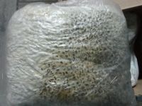 Лот: 3278947. Фото: 3. Комплект для выращивания вешенки... Для дачи, дома, огорода, бани, парка