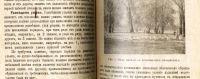 Лот: 18193485. Фото: 5. Горский П. Доходное пчеловодство...
