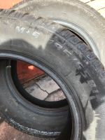 Лот: 11722952. Фото: 5. Резина зимняя Matador/Medeo R14