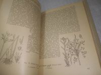 Лот: 25317501. Фото: 8. oz/вбЮ(4092347)Полянский И. И...