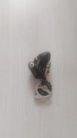 Лот: 17556311. Фото: 4. Задний переключатель shimano Alivio. Красноярск