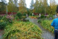 Лот: 5405596. Фото: 5. курс Ландшафтный дизайн (Intensive...