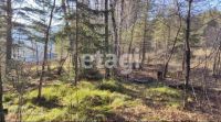 Лот: 25294901. Фото: 7. участок , село Степной Баджей...