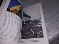 Лот: 18862484. Фото: 9. Пешо Клаудио. Пиза. Новый путеводитель...