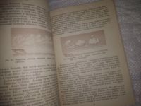 Лот: 25052376. Фото: 7. Oz(4092321)Проктор Ян. Плавание...