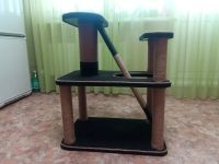 Лот: 15607365. Фото: 3. Когтеточка, комплекс. Растения и животные