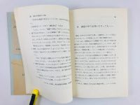 Лот: 23292060. Фото: 7. Modern Japanese. An Advanced Reader...